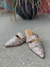 Load image into Gallery viewer, SNAKE BEIGE MULES
